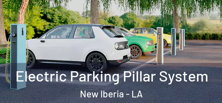  Electric Parking Pillar System New Iberia - LA